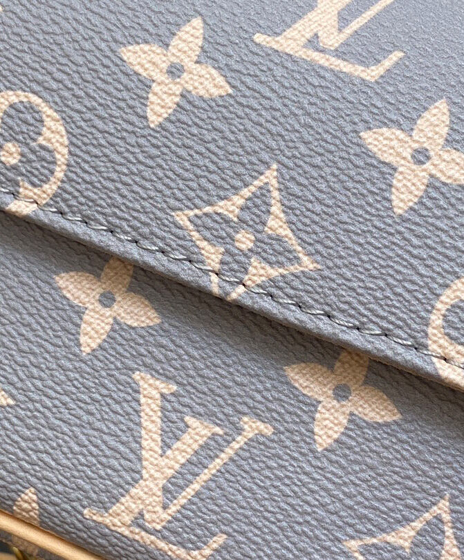 Louis Vuitton Wallet on Chain Ivy M12778 Gray